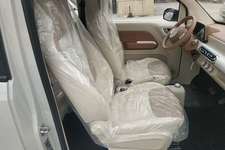 Used Wuling Hongguang MINIEV 2024 3rd Generation 215km Youth Edition Right Front Seat