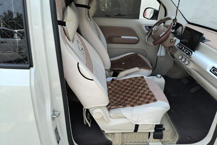 Used Wuling Hongguang MINIEV 2024 3rd Generation 215km Youth Edition Right Front Seat