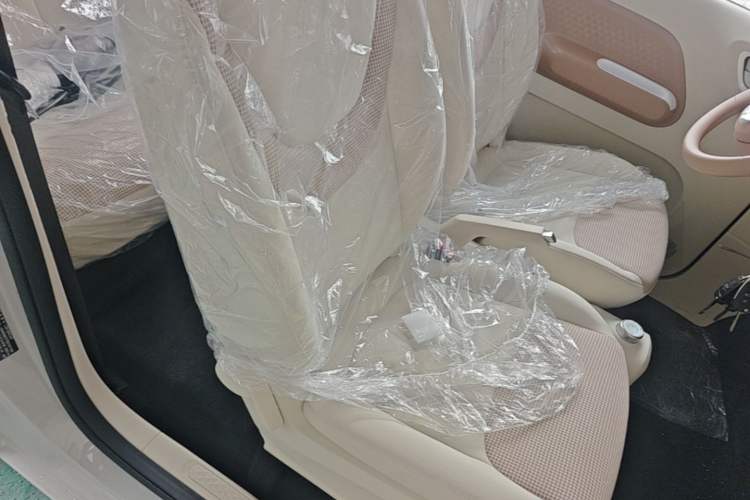Used Wuling Hongguang MINIEV 2024 3rd Generation 215km Youth Edition Right Front Seat