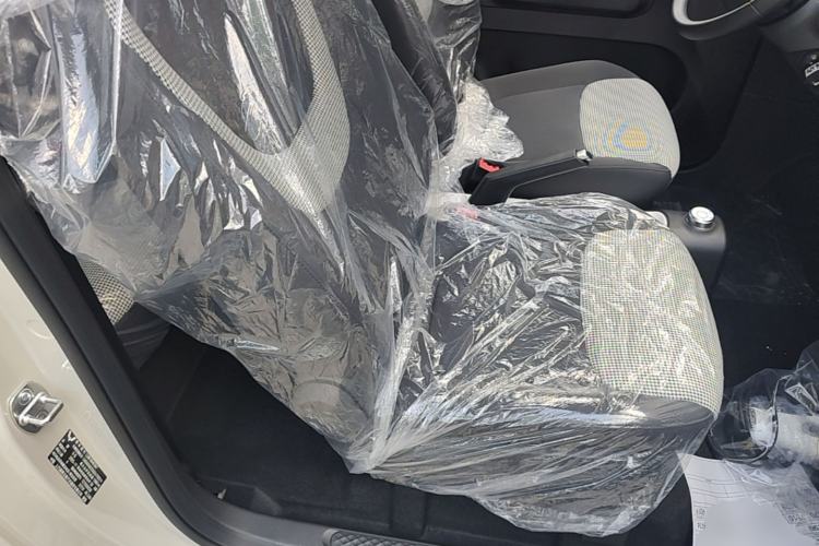 Used Wuling Hongguang MINIEV 2024 3rd Generation 215km Youth Edition Right Front Seat
