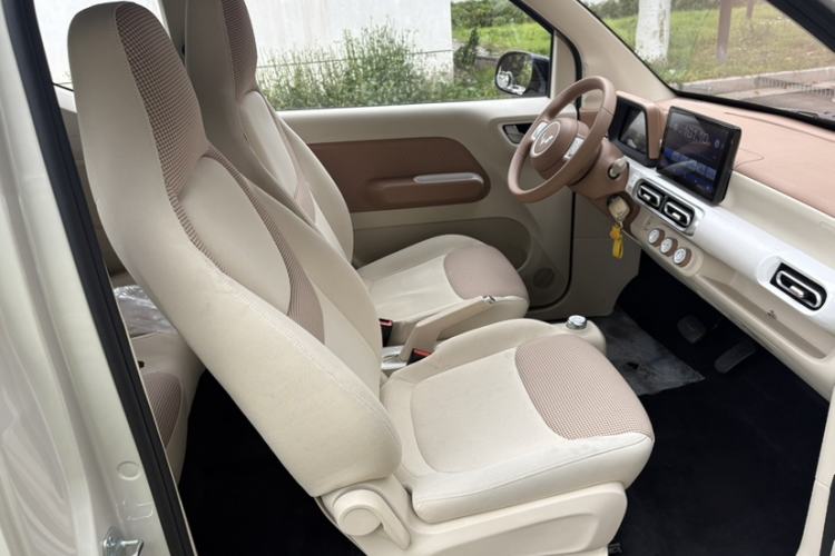 Used Wuling Hongguang MINIEV 2024 3rd Generation 215km Youth Edition Right Front Seat