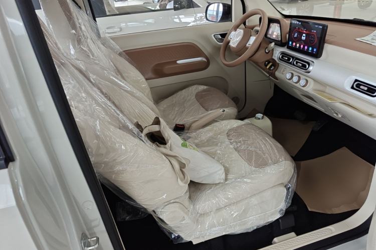 Used Wuling Hongguang MINIEV 2024 3rd Generation 215km Youth Edition Right Front Seat
