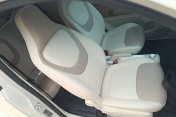 Used Wuling Hongguang MINIEV 2024 3rd Generation 215km Youth Edition Right Front Seat