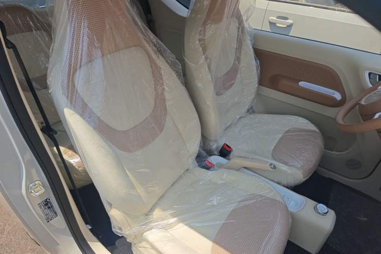 Used Wuling Hongguang MINIEV 2024 3rd Generation 215km Youth Edition Right Front Seat