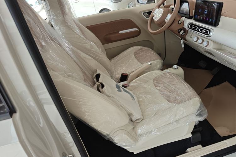 Used Wuling Hongguang MINIEV 2024 3rd Generation 215km Youth Edition Right Front Seat