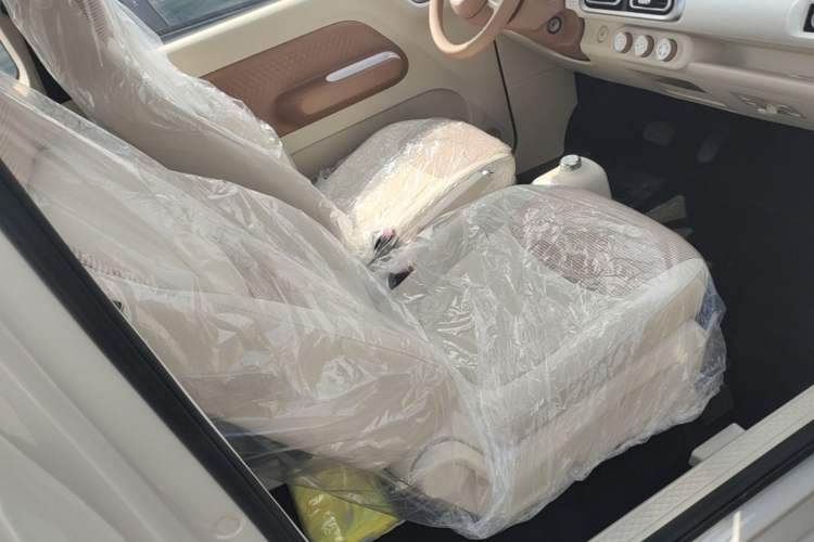 Used Wuling Hongguang MINIEV 2024 3rd Generation 215km Youth Edition Right Front Seat
