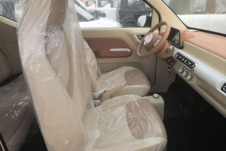 Used Wuling Hongguang MINIEV 2024 3rd Generation 215km Youth Edition Right Front Seat