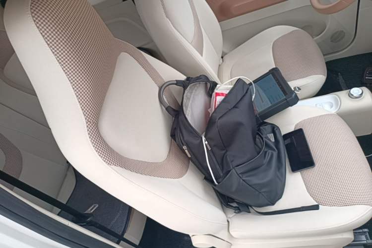 Used Wuling Hongguang MINIEV 2024 3rd Generation 215km Youth Edition Right Front Seat