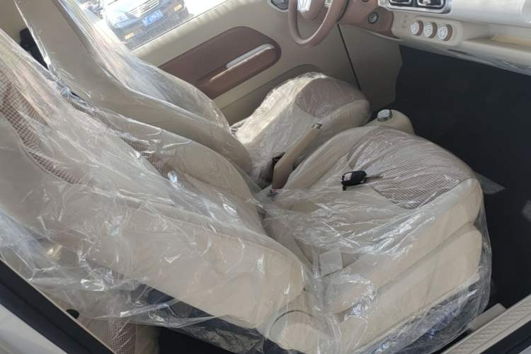 Used Wuling Hongguang MINIEV 2024 3rd Generation 215km Youth Edition Right Front Seat