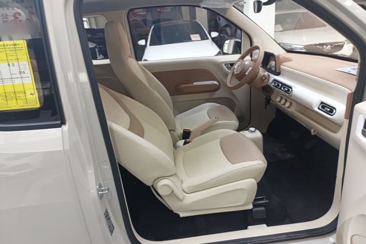 Used Wuling Hongguang MINIEV 2024 3rd Generation 215km Youth Edition Right Front Seat