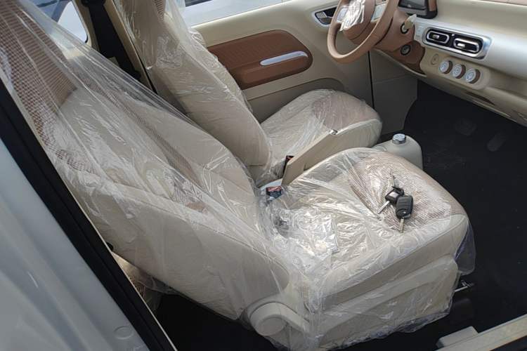 Used Wuling Hongguang MINIEV 2024 3rd Generation 215km Youth Edition Right Front Seat