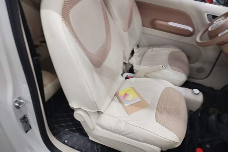 Used Wuling Hongguang MINIEV 2024 3rd Generation 215km Youth Edition Right Front Seat