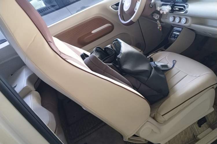 Used Wuling Hongguang MINIEV 2024 3rd Generation 215km Youth Edition Right Front Seat