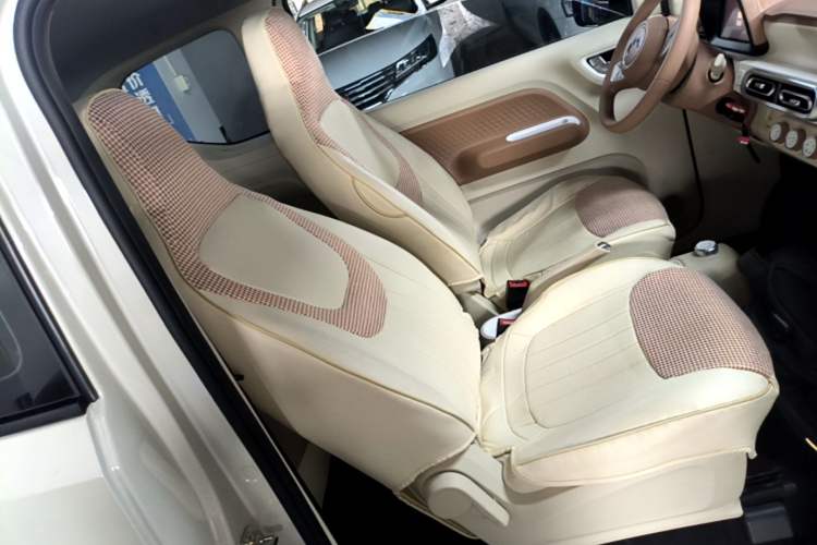 Used Wuling Hongguang MINIEV 2024 3rd Generation 215km Youth Edition Right Front Seat