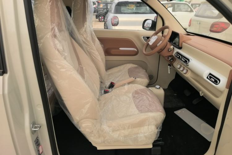 Used Wuling Hongguang MINIEV 2024 3rd Generation 215km Youth Edition Right Front Seat