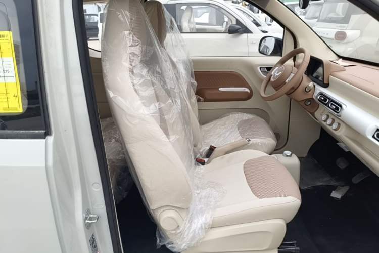 Used Wuling Hongguang MINIEV 2024 3rd Generation 215km Youth Edition Right Front Seat