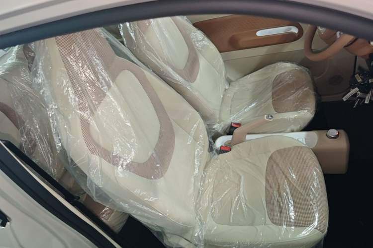 Used Wuling Hongguang MINIEV 2024 3rd Generation 215km Youth Edition Right Front Seat