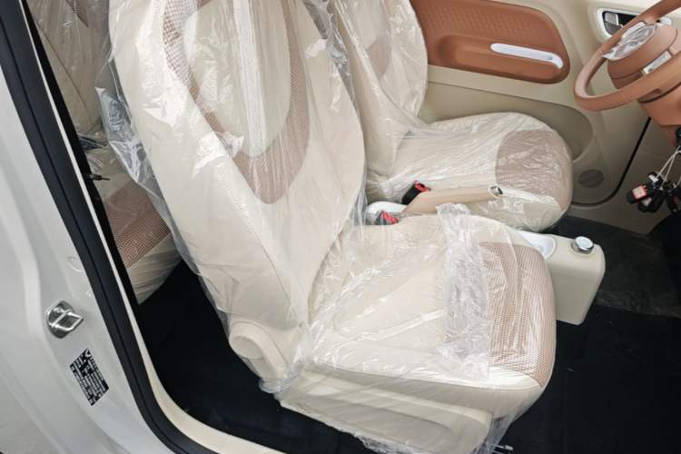Used Wuling Hongguang MINIEV 2024 3rd Generation 215km Youth Edition Right Front Seat