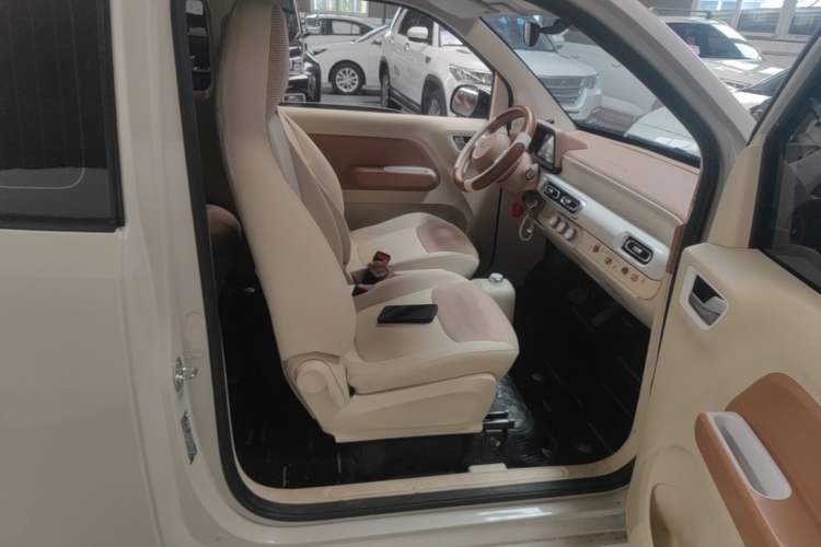 Used Wuling Hongguang MINIEV 2024 3rd Generation 215km Youth Edition Right Front Seat