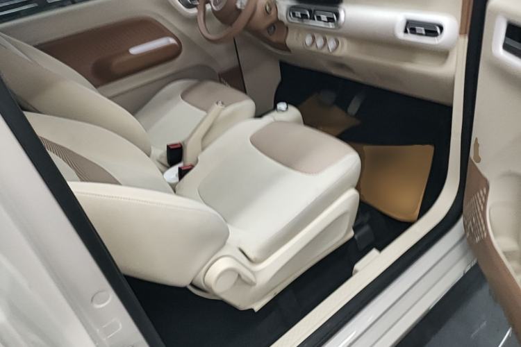 Used Wuling Hongguang MINIEV 2024 3rd Generation 215km Youth Edition Right Front Seat