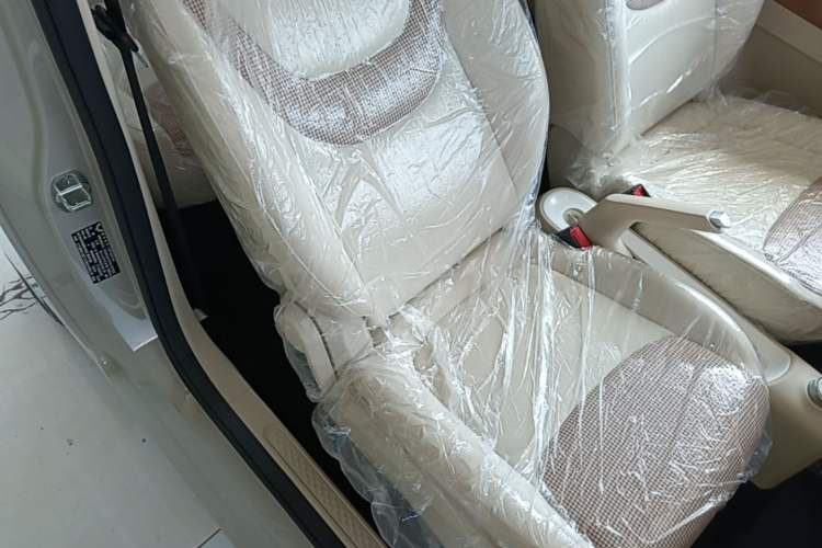 Used Wuling Hongguang MINIEV 2024 3rd Generation 215km Youth Edition Right Front Seat