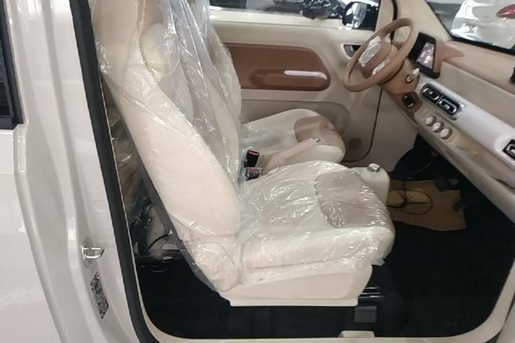 Used Wuling Hongguang MINIEV 2024 3rd Generation 215km Youth Edition Right Front Seat
