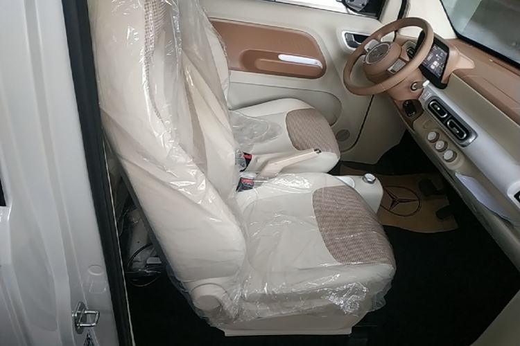 Used Wuling Hongguang MINIEV 2024 3rd Generation 215km Youth Edition Right Front Seat
