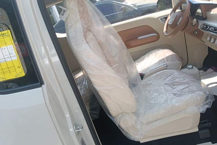 Used Wuling Hongguang MINIEV 2024 3rd Generation 215km Youth Edition Right Front Seat