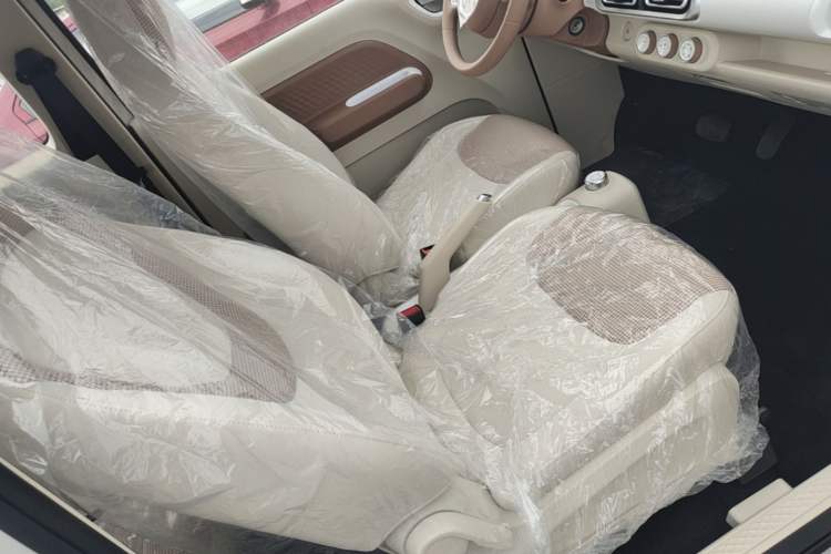 Used Wuling Hongguang MINIEV 2024 3rd Generation 215km Youth Edition Right Front Seat