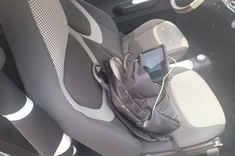 Used Wuling Hongguang MINIEV 2024 3rd Generation 215km Youth Edition Right Front Seat