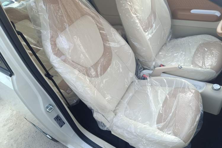 Used Wuling Hongguang MINIEV 2024 3rd Generation 215km Youth Edition Right Front Seat