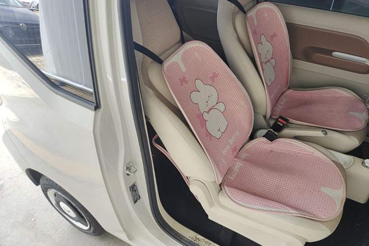 Used Wuling Hongguang MINIEV 2024 3rd Generation 215km Youth Edition Right Front Seat