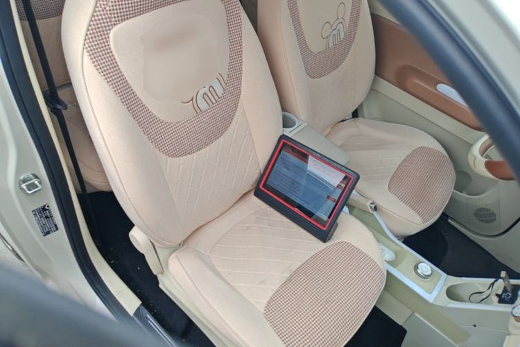 Used Wuling Hongguang MINIEV 2024 3rd Generation 215km Youth Edition Right Front Seat