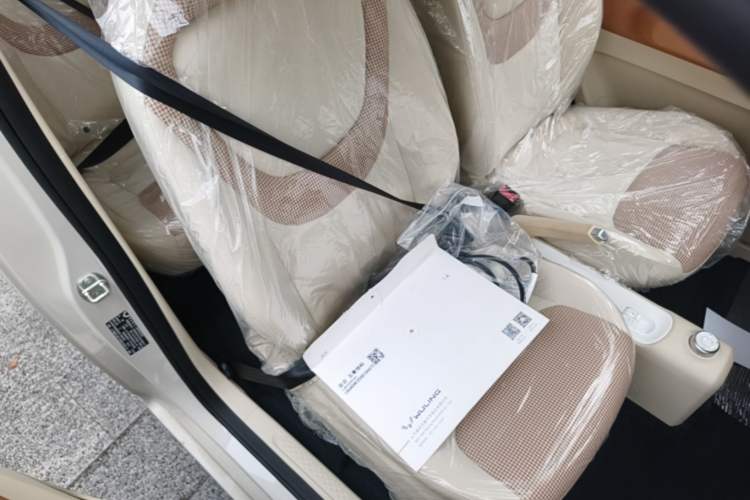 Used Wuling Hongguang MINIEV 2024 3rd Generation 215km Youth Edition Right Front Seat