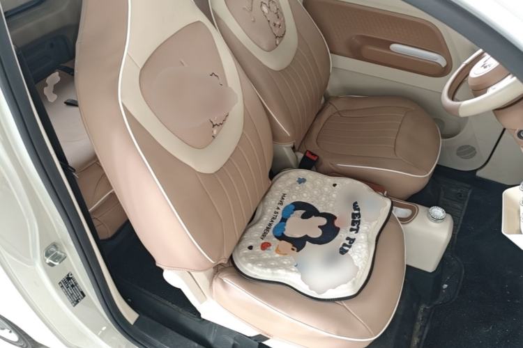 Used Wuling Hongguang MINIEV 2024 3rd Generation 215km Youth Edition Right Front Seat