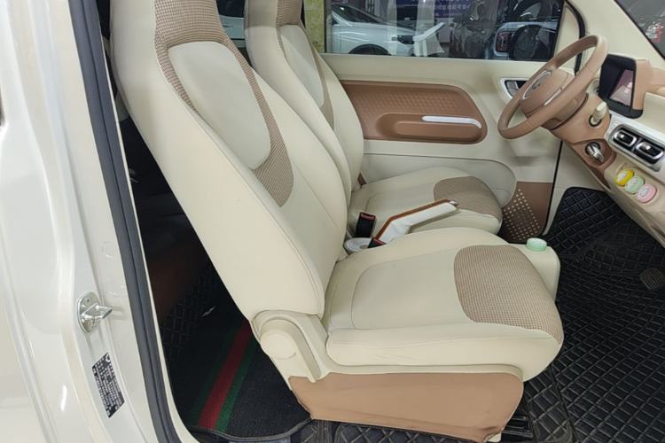 Used Wuling Hongguang MINIEV 2024 3rd Generation 215km Youth Edition Right Front Seat