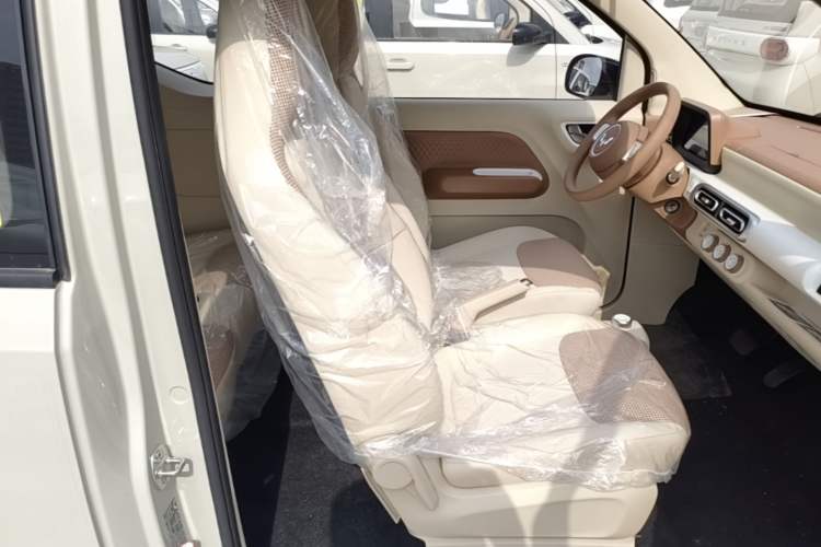 Used Wuling Hongguang MINIEV 2024 3rd Generation 215km Youth Edition Right Front Seat