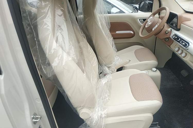 Used Wuling Hongguang MINIEV 2024 3rd Generation 215km Youth Edition Right Front Seat