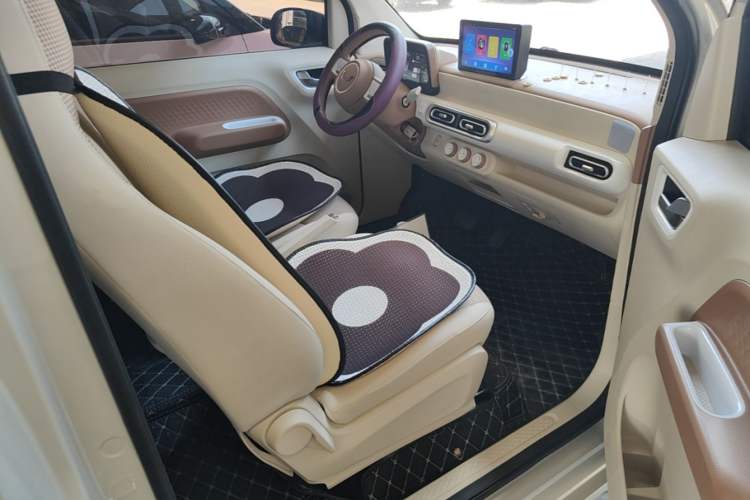 Used Wuling Hongguang MINIEV 2024 3rd Generation 215km Youth Edition Right Front Seat