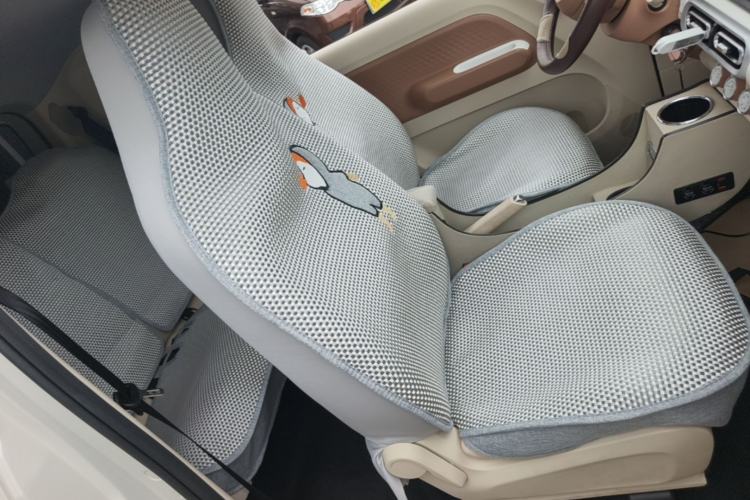 Used Wuling Hongguang MINIEV 2024 3rd Generation 215km Advanced Version Right Front Seat