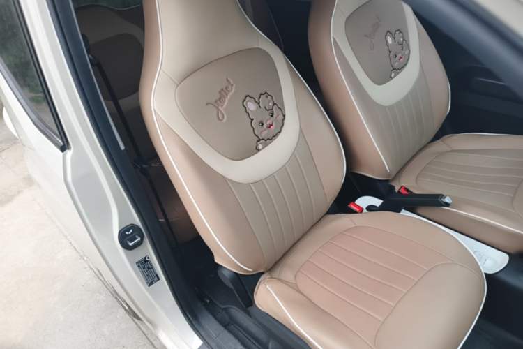 Used Wuling Hongguang MINIEV 2024 3rd Generation 215km Youth Edition Right Front Seat
