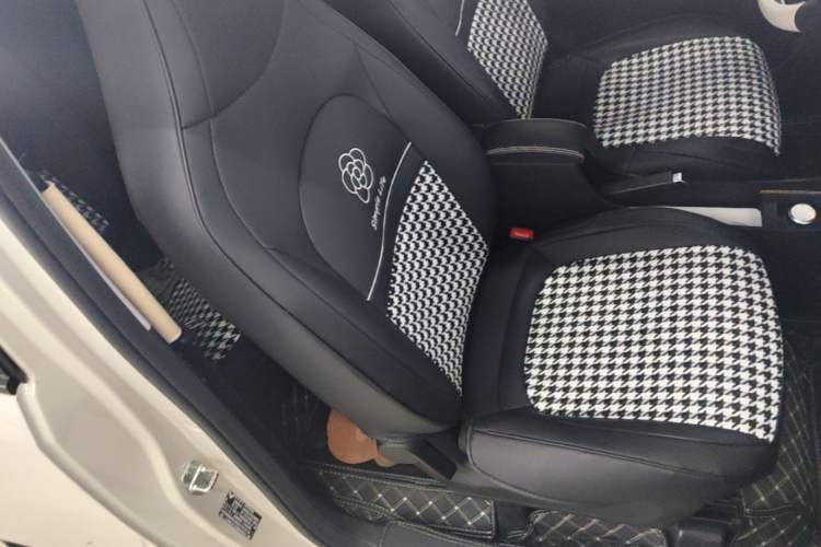 Used Wuling Hongguang MINIEV 2024 3rd Generation 215km Youth Edition Right Front Seat