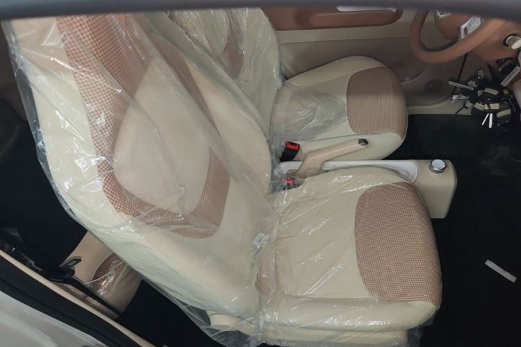Used Wuling Hongguang MINIEV 2024 3rd Generation 215km Youth Edition Right Front Seat