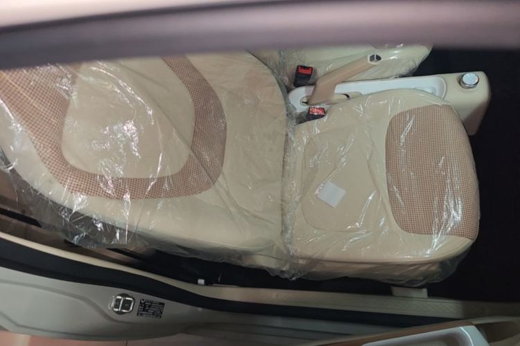 Used Wuling Hongguang MINIEV 2024 3rd Generation 215km Youth Edition Right Front Seat