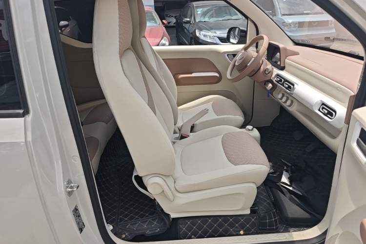 Used Wuling Hongguang MINIEV 2024 3rd Generation 215km Youth Edition Right Front Seat