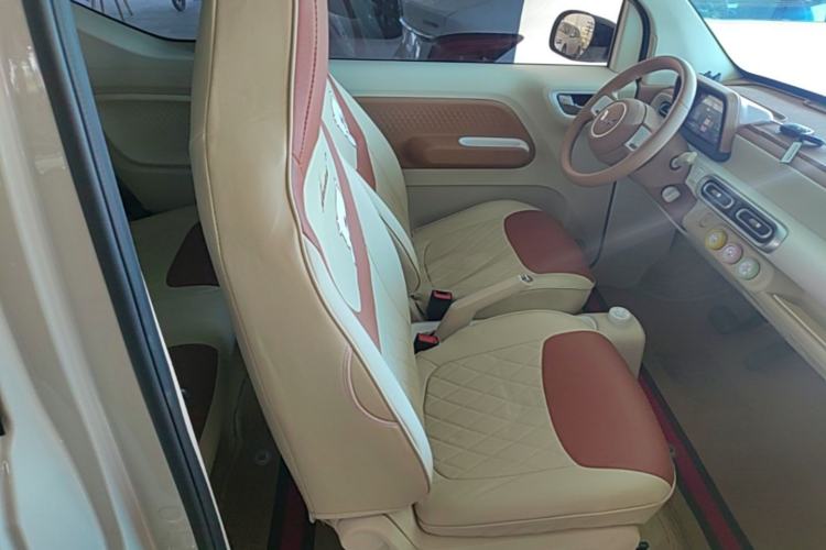 Used Wuling Hongguang MINIEV 2024 3rd Generation 215km Youth Edition Right Front Seat
