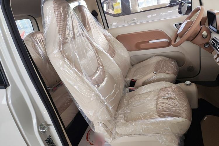 Used Wuling Hongguang MINIEV 2024 3rd Generation 215km Youth Edition Right Front Seat