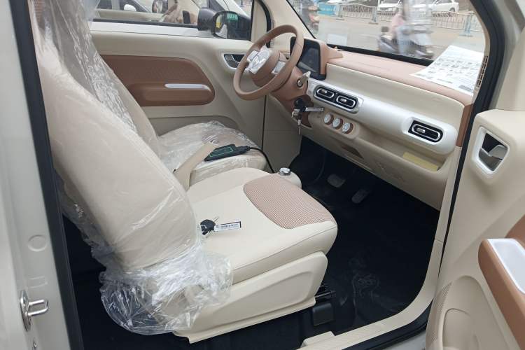 Used Wuling Hongguang MINIEV 2024 3rd Generation 215km Youth Edition Right Front Seat