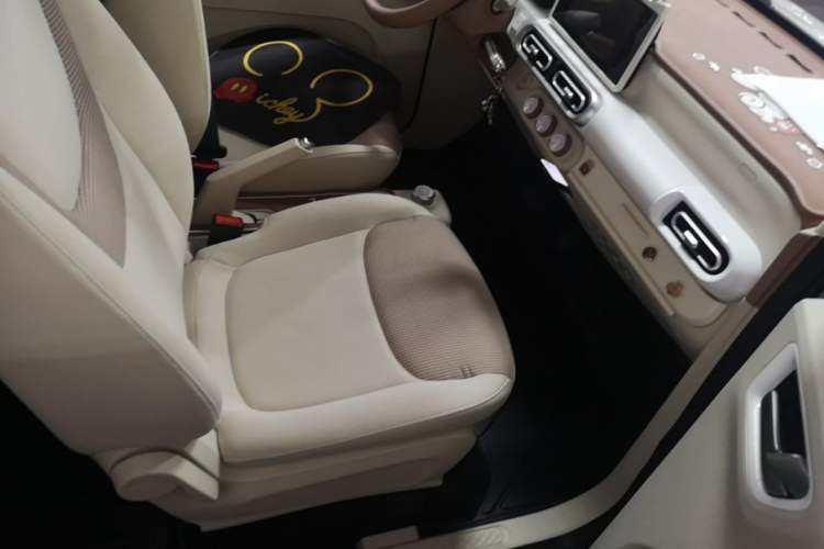 Used Wuling Hongguang MINIEV 2024 3rd Generation 215km Advanced Version Right Front Seat