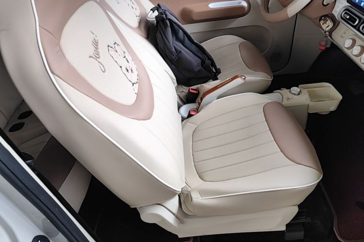 Used Wuling Hongguang MINIEV 2024 3rd Generation 215km Youth Edition Right Front Seat